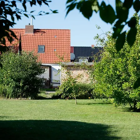 Peenegruen